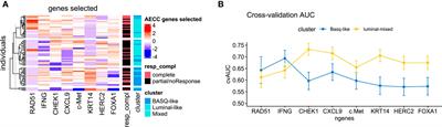 Predictive signature of response to neoadjuvant chemotherapy in muscle-invasive bladder cancer integrating mRNA expression, taxonomic subtypes, and clinicopathological features